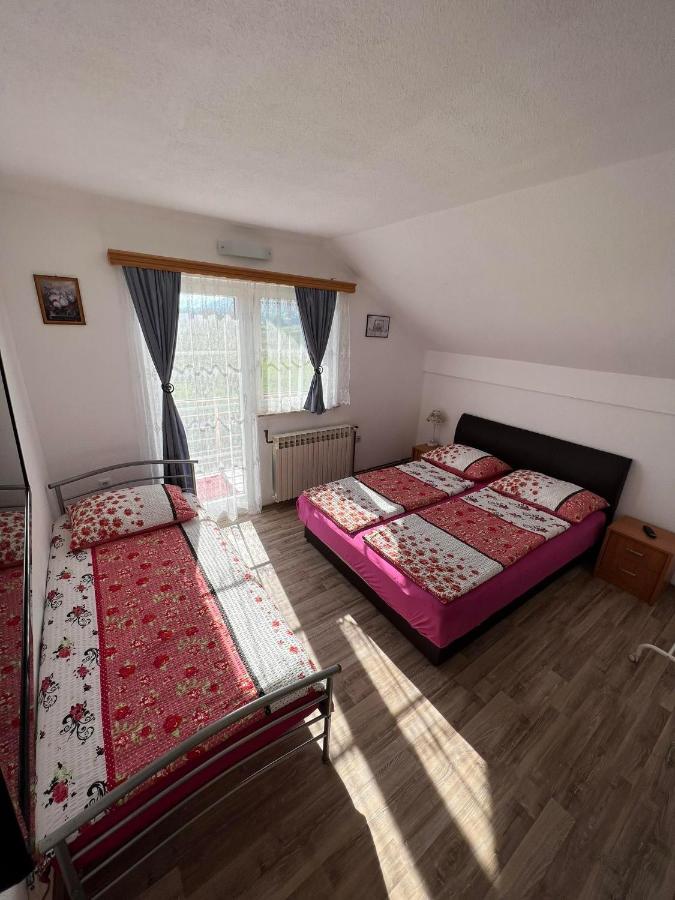 Apartments Marija Vrelo Koreničko Extérieur photo